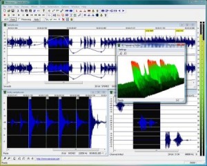 Wavosaur Free Sound Editor