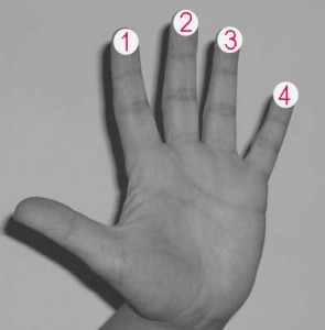 Fingers Left Hand: Fretting Hand